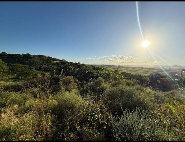 LAND FOR SALE IN ZINI RIVER ESTATE